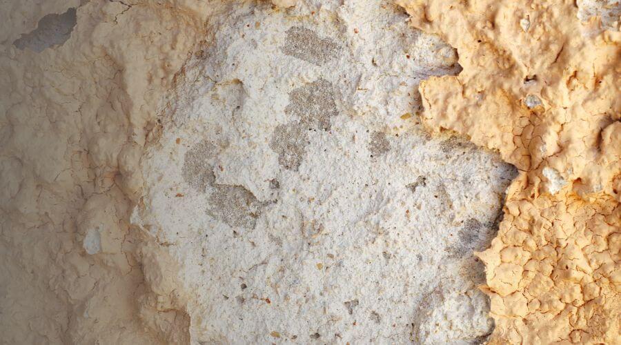 Why choose SwiftStream Restorations for water damage restoration in North Port